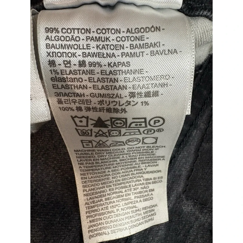 Levis levis 531